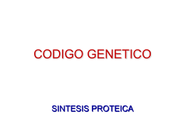 CODIGO GENETICO