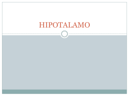 HIPOTALAMO