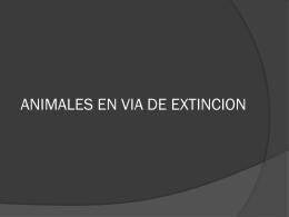 ANIMALES EN VIA DE EXTINCION