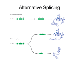 splicing