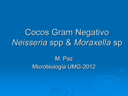Cocos Gram Negativo Neisseria spp & Moraxella sp