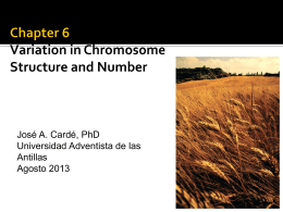 Chapter 6 Variation in Chromosome Structure and Number