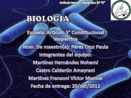 Diapositiva 1