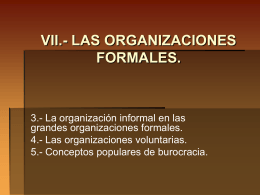 VII.- LAS ORGANIZACIONES FORMALES.