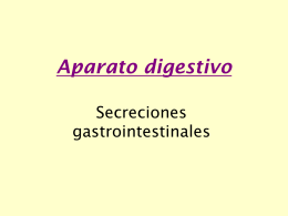 Aparato digestivo - Depto.Cs.Biologicas