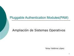 Pluggable Authentication Modules(PAM)