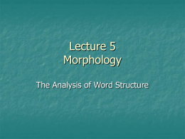 Morphology Lecture 5