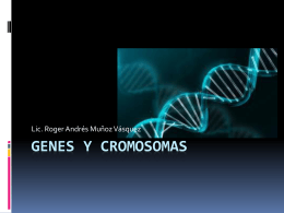 Genes y cromosomas