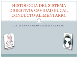 HISTOLOGIA DEL SISTEMA DIGESTIVO: CAVIDAD BUCAL, …