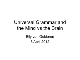 Universal Grammar and the Mind vs the Brain