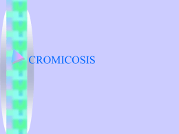 Cromomicosis, cromoblastomicosis, dermatitis verrugosa