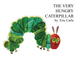 THE VERY HUNGRY CATERPILLAR - University of Illinois at