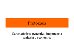 Protozoos