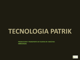 TECNOLOGIA PATRIK EN CHILE
