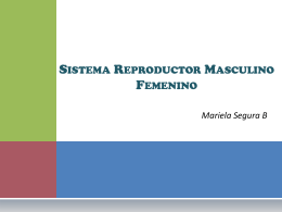 Sistema Reproductor Femenino Masculino