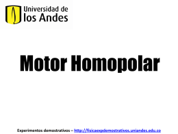 Motor Homopolar