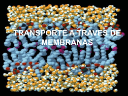 TRANSPORTE A TRAVES DE MEMBRANAS