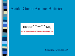 Acido Gama Amino Butirico GABA