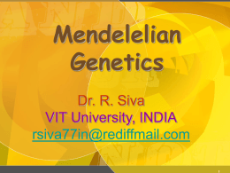 Mendelelian Genetics - Powerpoint Presentations for …