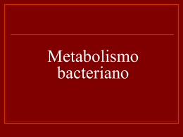 Metabolismo bacteriano