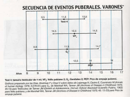 Diapositiva 1