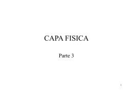 CAPA FISICA