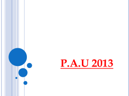P.A.U 2013