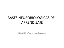 BASES NEUROBIOLOGICAS DEL APRENDIZAJE
