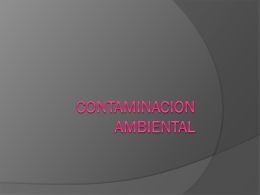 CONTAMINACION AMBIENTAL