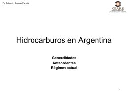 Hidrocarburos en Argentina - Dr. Eduardo Zapata