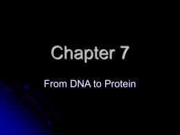 DNA to Protein - Arkansas State University