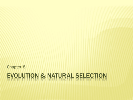 Evolution & Natural Selection