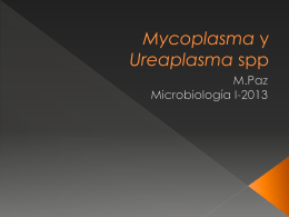 Mycoplasma y Ureaplasma spp