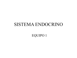 CAP-13-ENDOCRINO