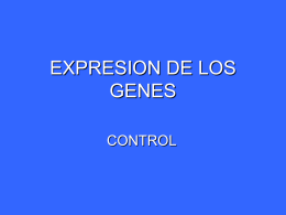 EXPRESION DE LOS GENES