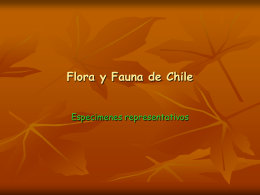 Flora y Fauna de Chile