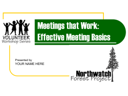 Meetings that Work: Effective Meeting Basics