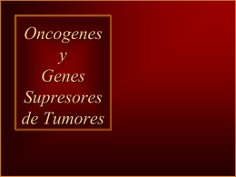 Oncogenes y Genes Supresores de Tumores