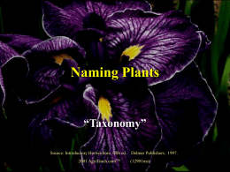Naming Plants