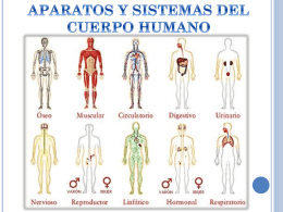 Diapositiva 1 - Salud Ocupacional SENA 2013
