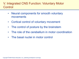 The Nervous System: Central Nervous System
