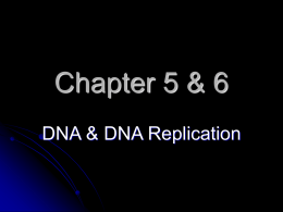 DNA & DNA Replication - Arkansas State University