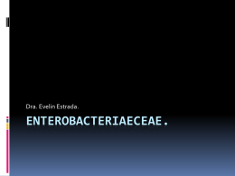 Enterobacteriaeceae.