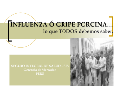 Influenza porcina: posible pandemia