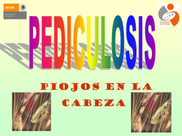 Presentación 2 Pediculosis