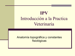 IPV Introducción a la Practica Veterinaria