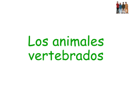animales vertebrados
