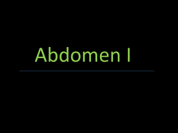 Abdomen I - eTableros