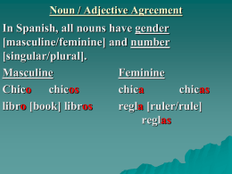 Noun / Adjective Agreement