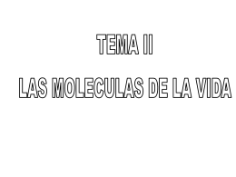 TEMA 2
